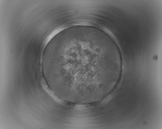 X0000113581378200910091452