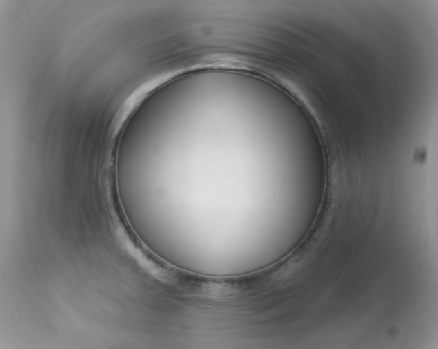 X0000113581379200910091452