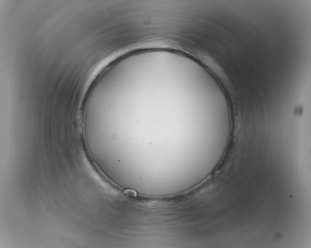 X0000113581380200910091452