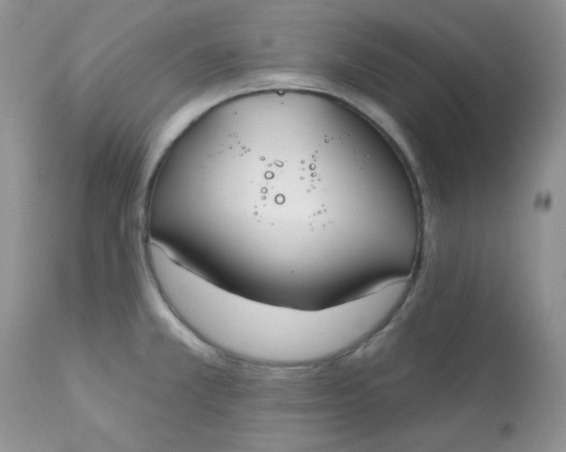 X0000113581381200910091452