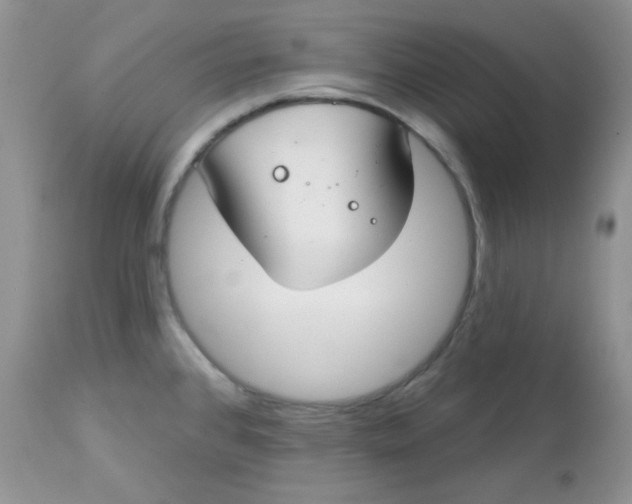 X0000113581384200910091452