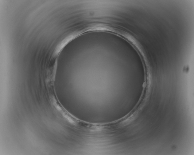 X0000113581385200910091452