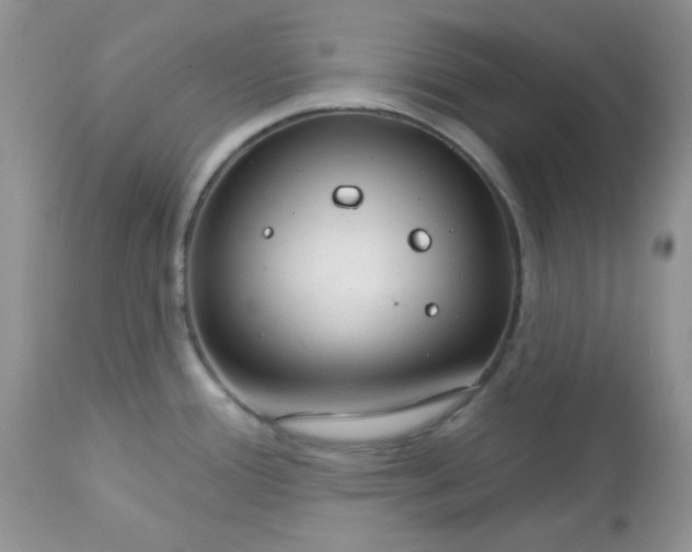 X0000113581388200910091452