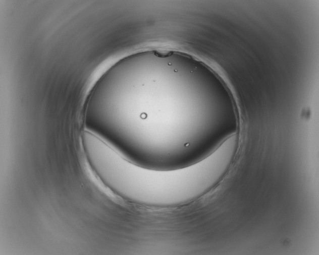 X0000113581389200910091452