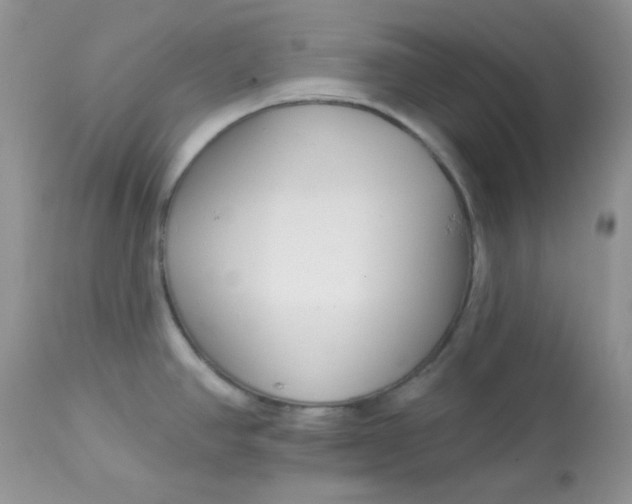 X0000113581390200910091452