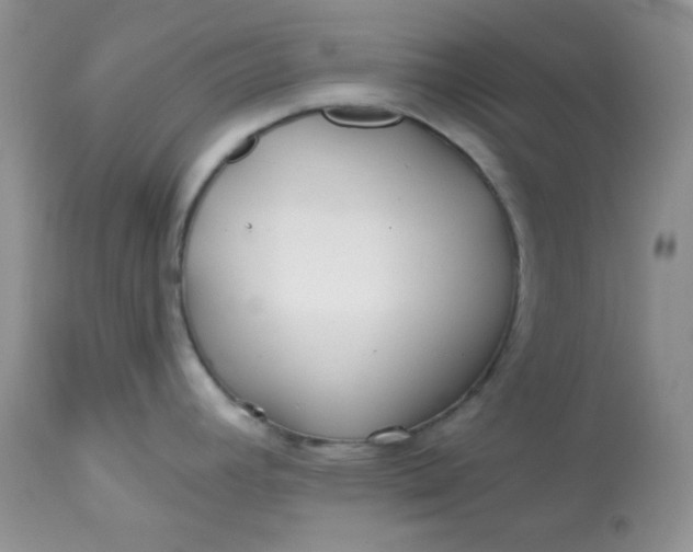 X0000113581392200910091452