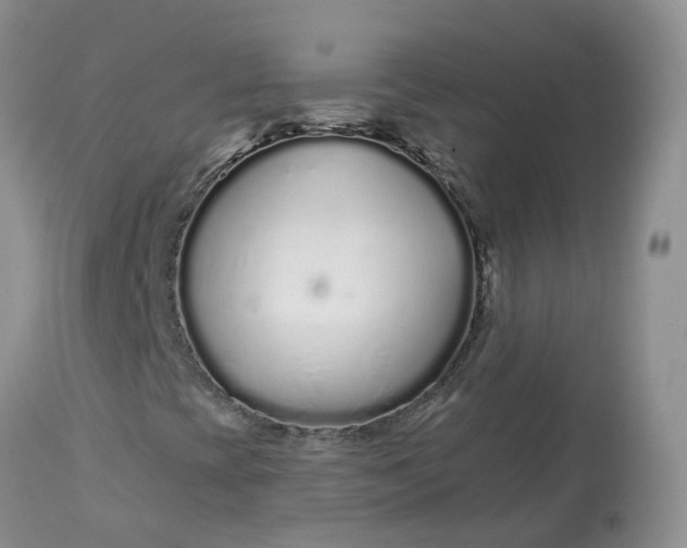 X0000113581393200910091451