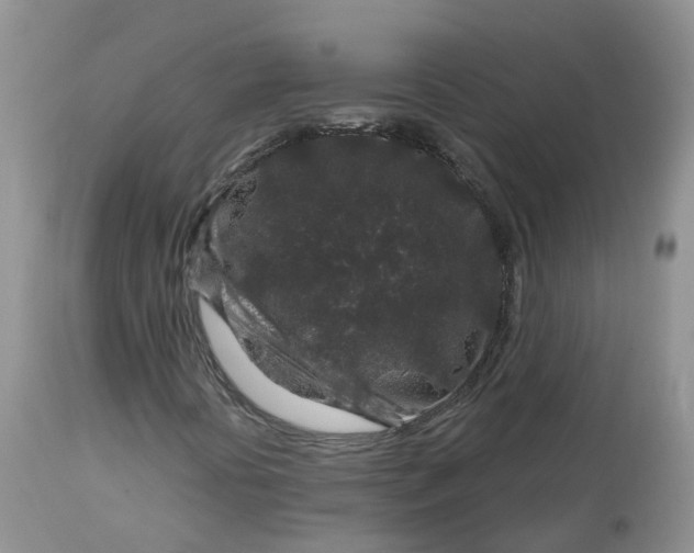 X0000113581394200910091451