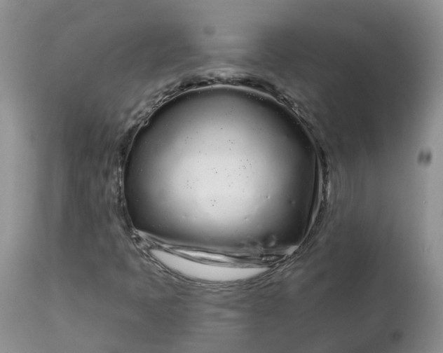 X0000113581397200910091451