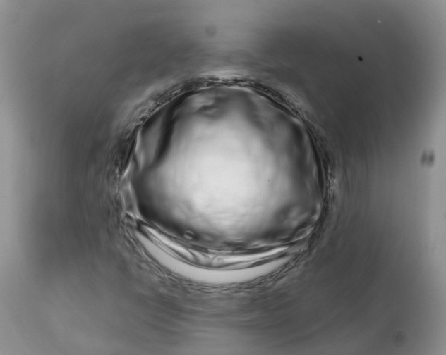 X0000113581398200910091451