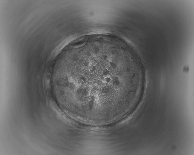 X0000113581401200910091451