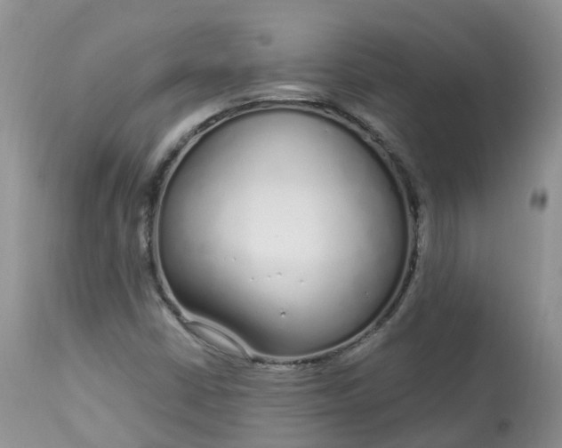 X0000113581402200910091451