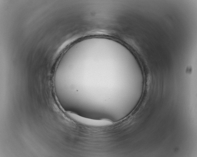 X0000113581404200910091451