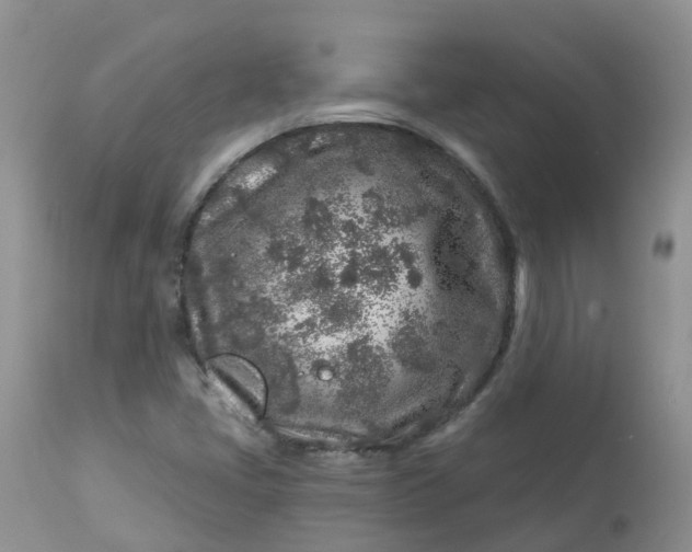 X0000113581405200910091451