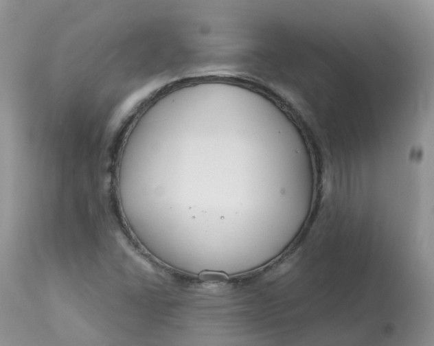 X0000113581406200910091451