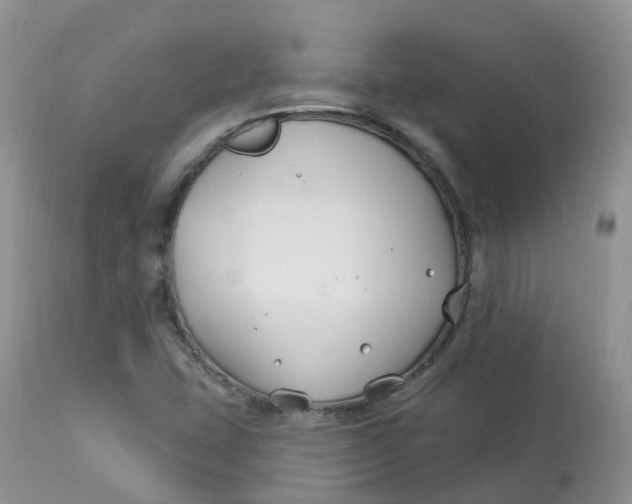 X0000113581407200910091451