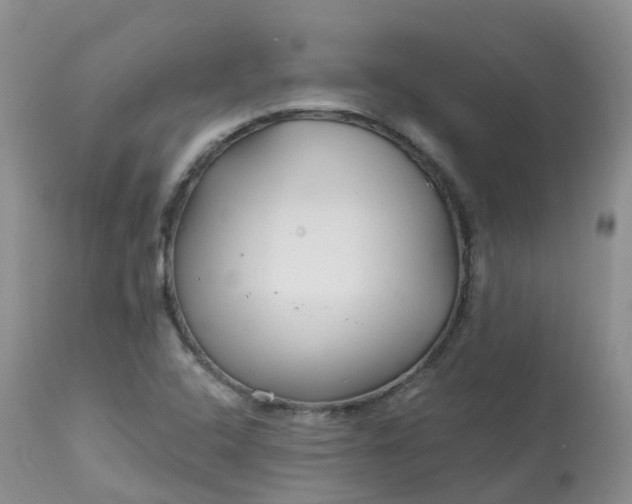 X0000113581408200910091451