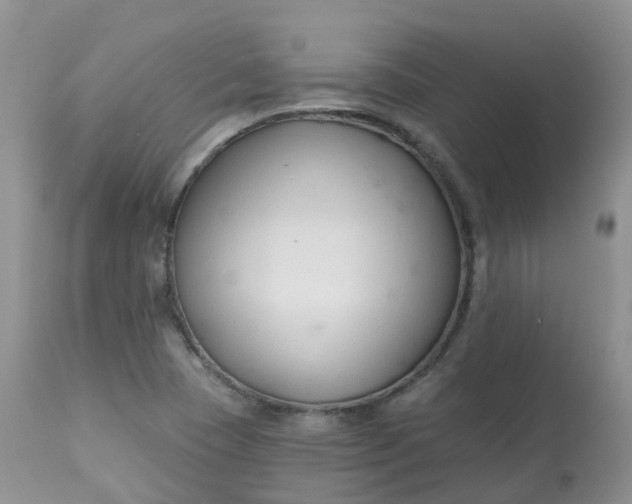 X0000113581409200910091451