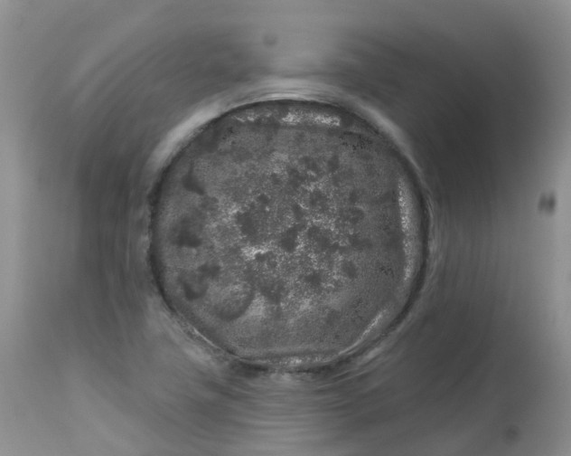 X0000113581411200910091451