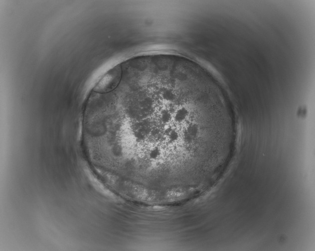 X0000113581413200910091451