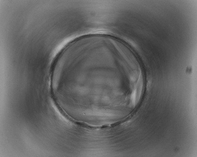 X0000113581414200910091451