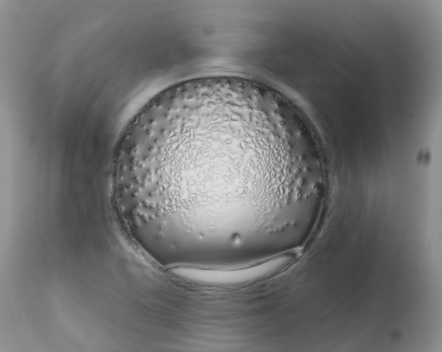 X0000113581415200910091451