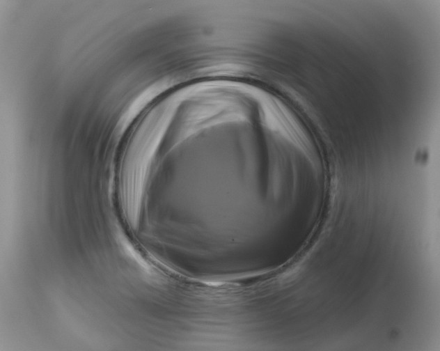 X0000113581418200910091451