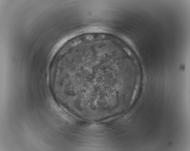 X0000113581419200910091451