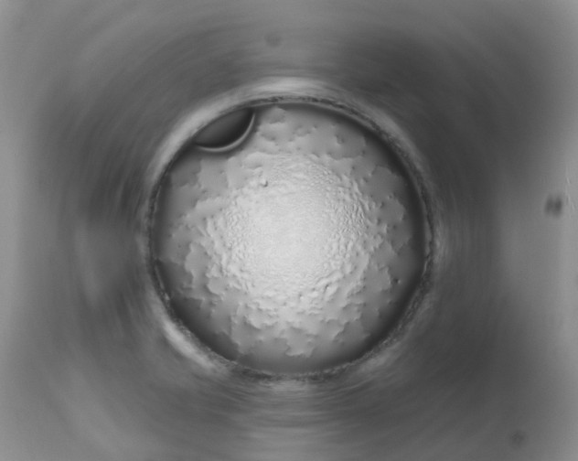 X0000113581421200910091451