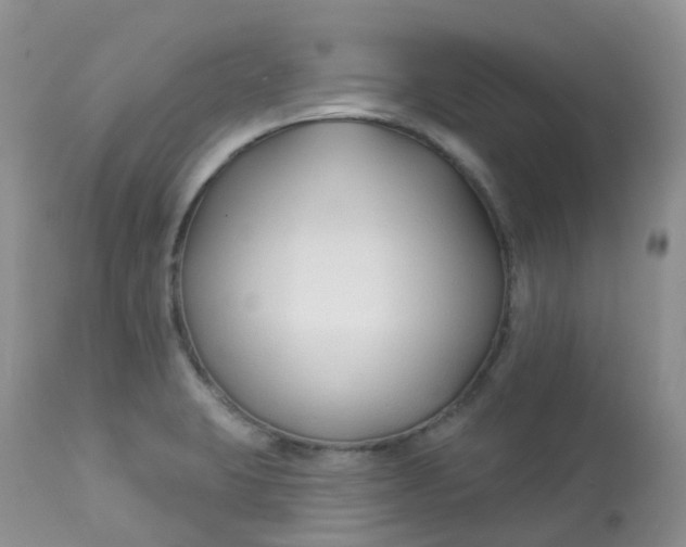 X0000113581423200910091451