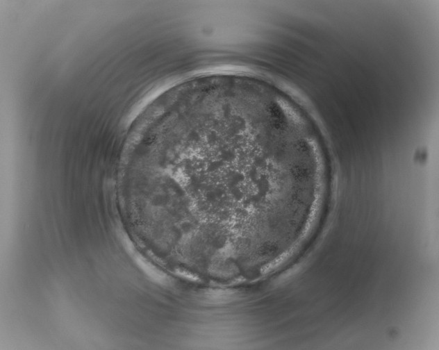 X0000113581425200910091451