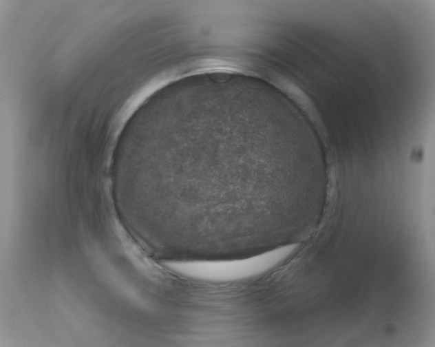 X0000113581427200910091451