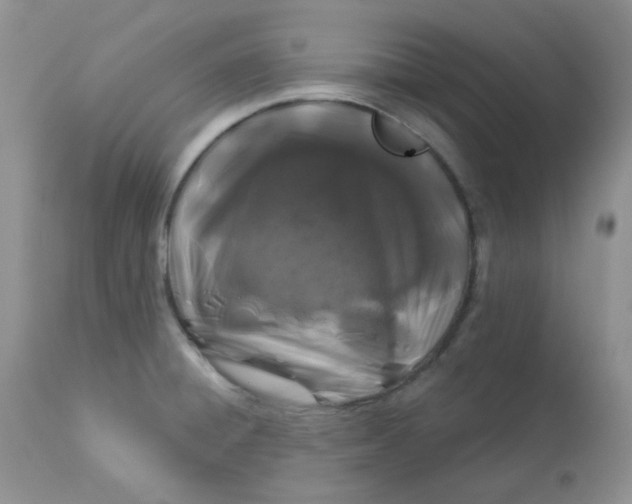 X0000113581428200910091451