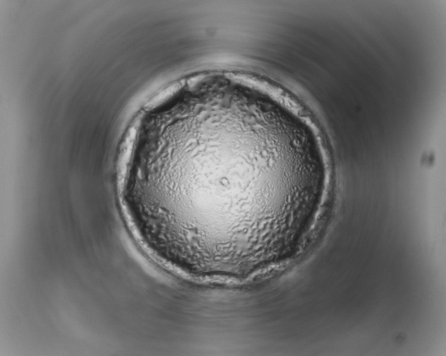 X0000113581429200910091451