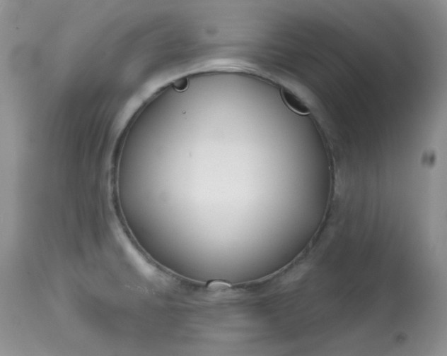 X0000113581430200910091451