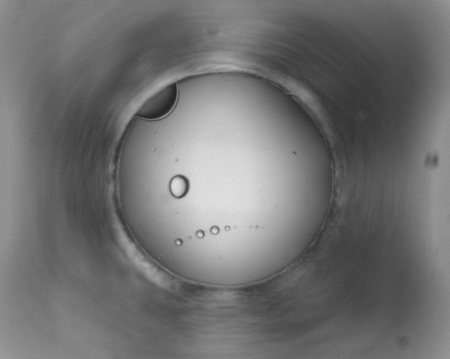 X0000113581431200910091451