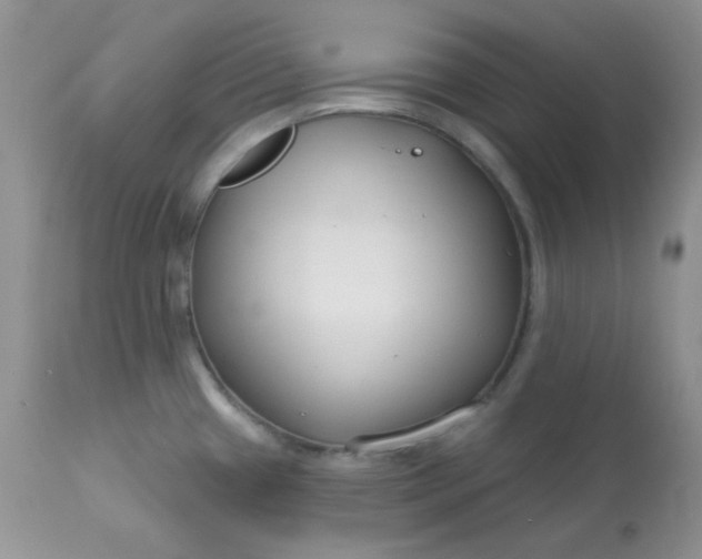 X0000113581433200910091451