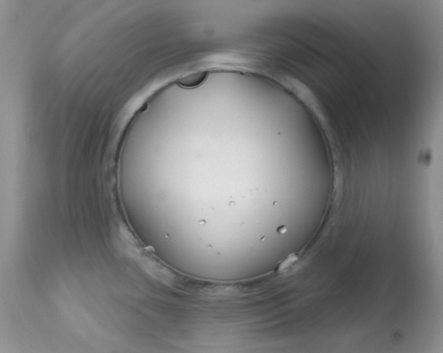 X0000113581435200910091451