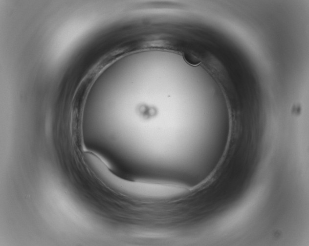 X0000113581438200910091451