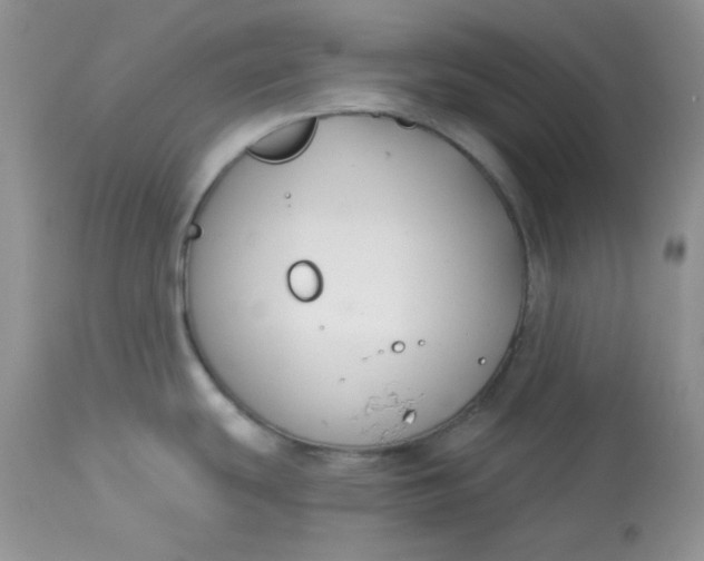 X0000113581439200910091452