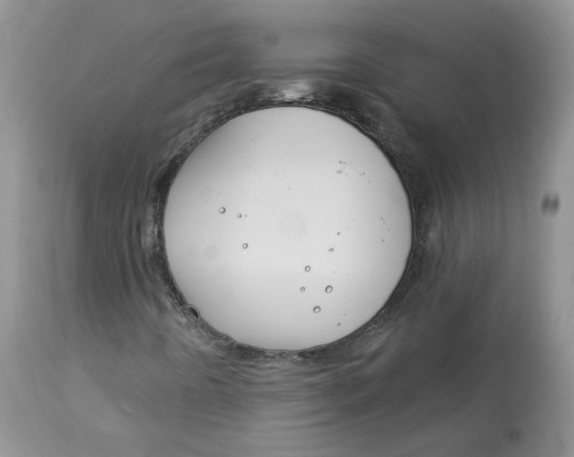 X0000113581442200910091451