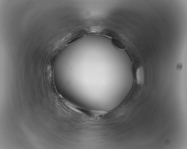 X0000113581443200910091451