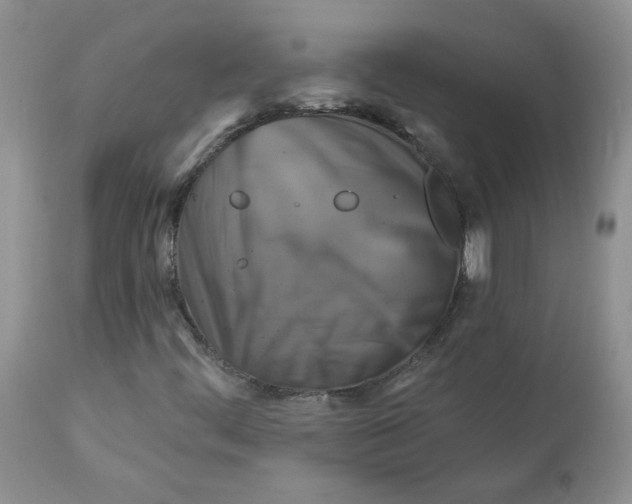 X0000113581444200910091451