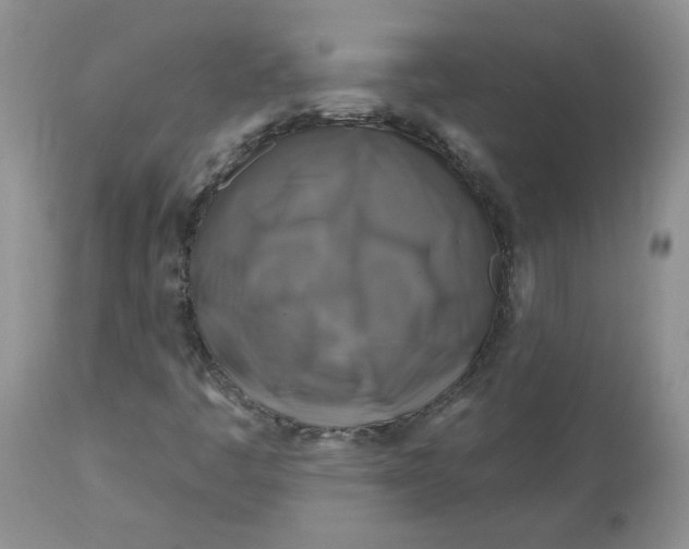 X0000113581445200910091451