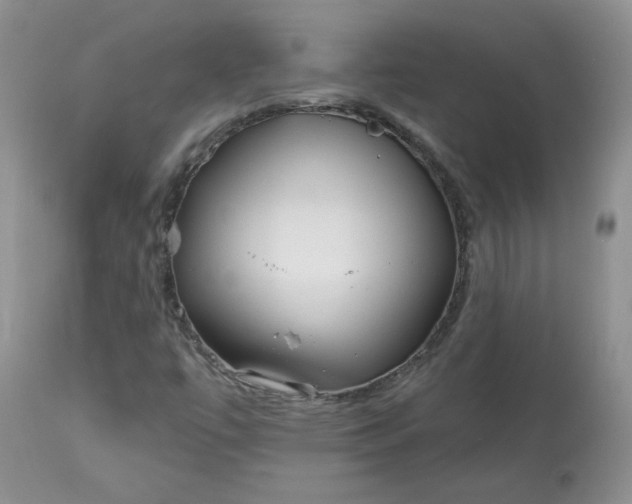 X0000113581447200910091451