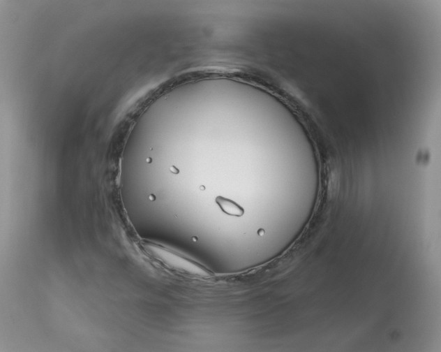 X0000113581448200910091451