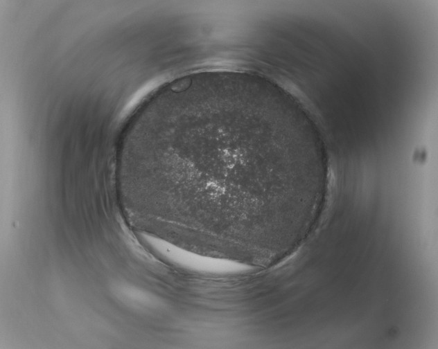 X0000113581450200910091451