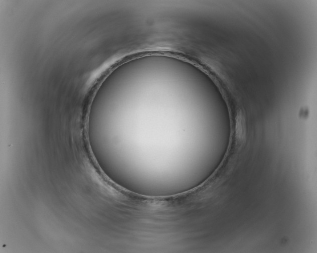 X0000113581452200910091451