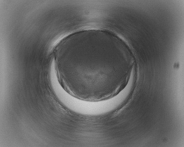 X0000113581453200910091451