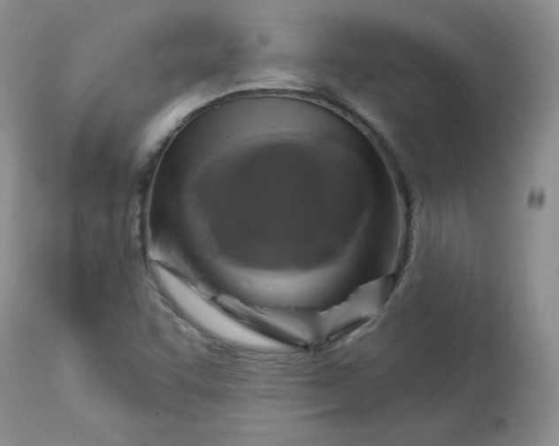 X0000113581455200910091451